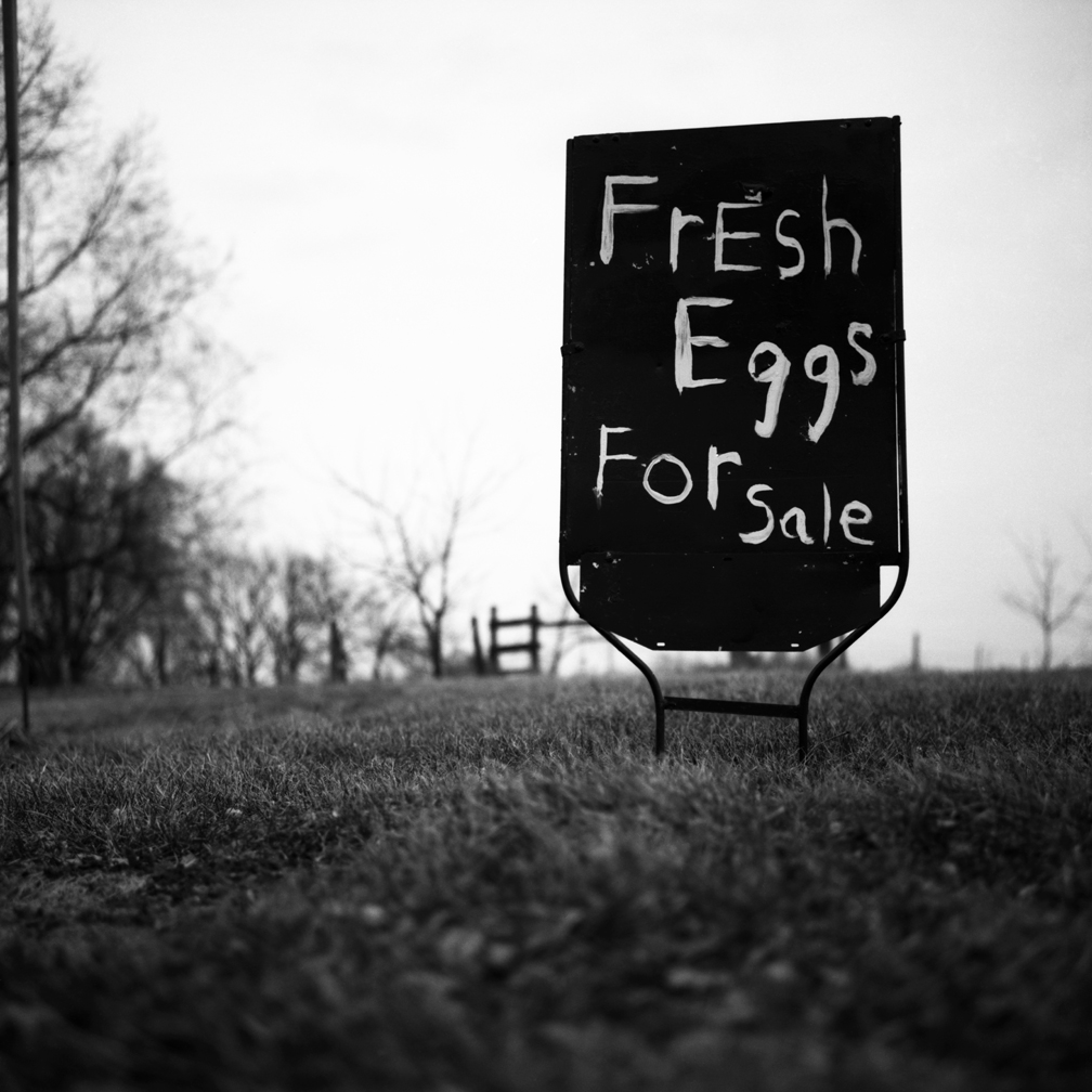 egg sign026.jpg